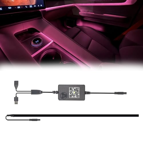 Center Console + Dashboard Ambient Light for 2021 (Center Console+Dashboard Ambient Light)