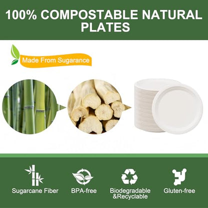 7 Inch Paper Plates 125 (White / 7Inch（125 PCS）)