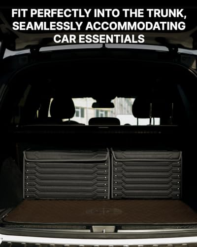 Cargo Organizer (Highway 21)
