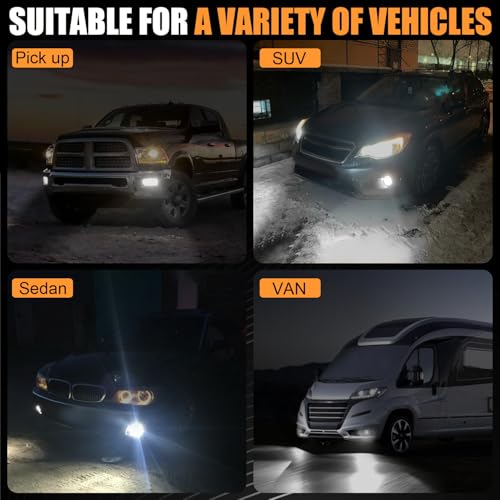 H10 LED Fog Light Bulbs (H10/9140/9145)