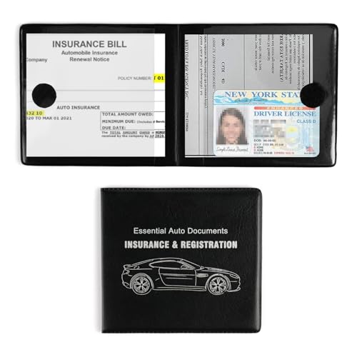 Car Registration and Insurance Card Holder (black1)