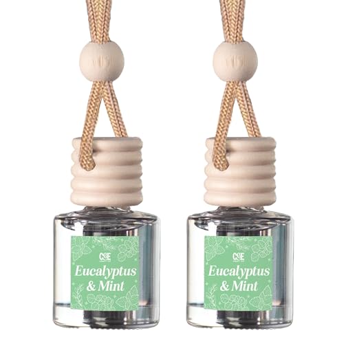 CANDECraftCo 2 Pack Hanging Car Air Freshener Diffuser for Essential Oils