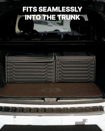 Cargo Organizer (Highway 17)