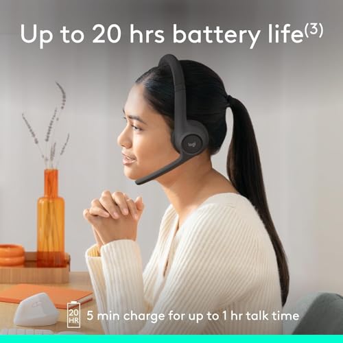 Zone 301 Wireless Bluetooth Headset (Graphite)