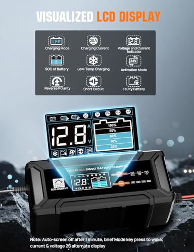12V 24V 20A Smart Battery Charger for Lead