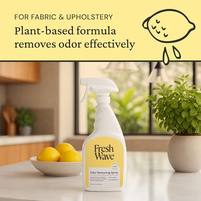 Odor Eliminator Spray for Room & Fabric (24 Fl Oz (Pack of 1))