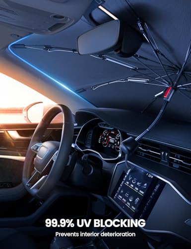 Tesla Model 3 (Tesla 3/Y 2017-2026 (52"x31"))