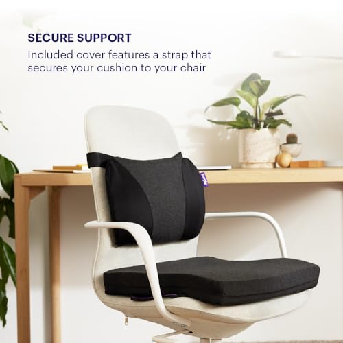 Back Cushion Lumbar Support Pillow for Office Chair (Back)