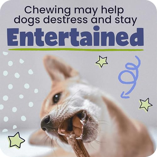 Natural 9” Braided Bully Sticks for Dogs (9" / 25 Count (Pack of 1))