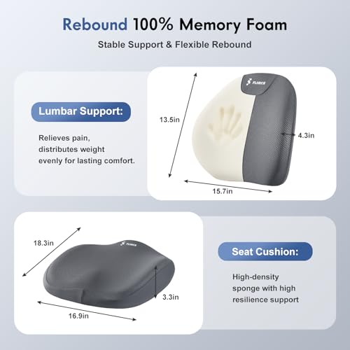 Seat Cushion and Lumbar Support Pillow for Office Chair Car (Gray / 2Pcs)