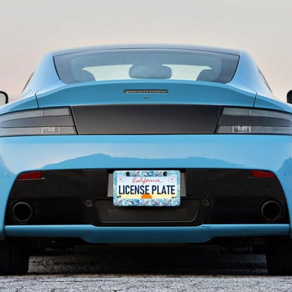 Sea Turtle License Plate Frames (Sea Turtle)