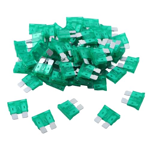 100 Pack Auto Fuses 30 AMP ATC (30 AMP)