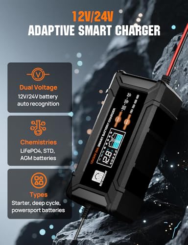 12V 24V 20A Smart Battery Charger for Lead