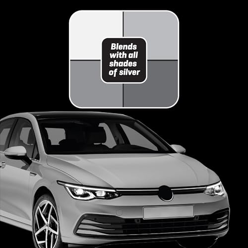 Color Fast Scratch Remover & Paint Restorer (Silver)