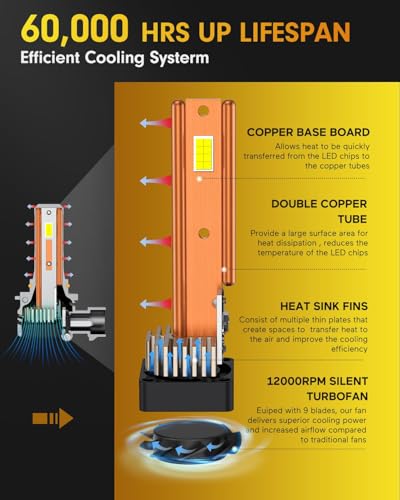 9005 9006 LED Bulbs Combo (9005 9006)