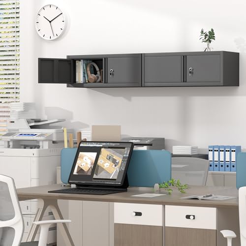 Metal Wall Cabinet with Lock and Doors (Black / 12.8"H)