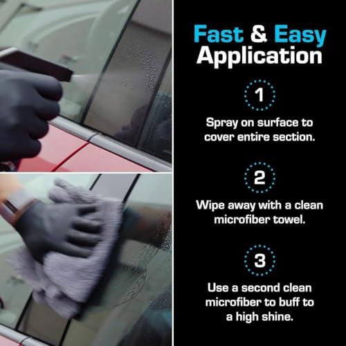 Ethos Defy 3 in 1 Ceramic Coating (16 Fl Oz (Pack of 2))