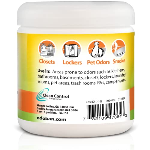 Solid Odor Absorber Eliminator for Home and Small Spaces (14 Ounce (Pack of 6))