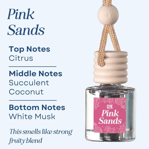 CANDECraftCo 2 Pack Hanging Car Air Freshener Diffuser for Essential Oils