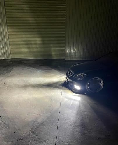 H11 LED Fog Light Bulb (White / H11)