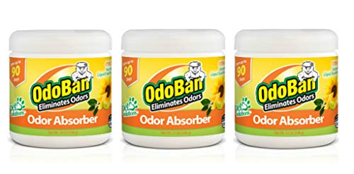 Solid Odor Absorber Eliminator for Home and Small Spaces (14 Ounce (Pack of 3))