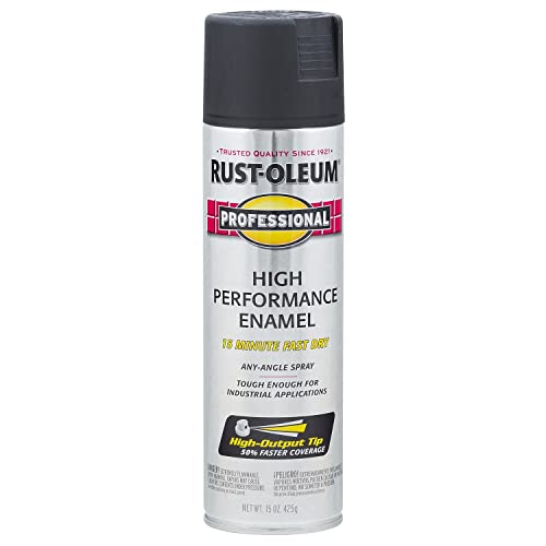 Professional High Performance Flat Black Spray Paint (Flat Black / 15 Ounce (Pack of 1))