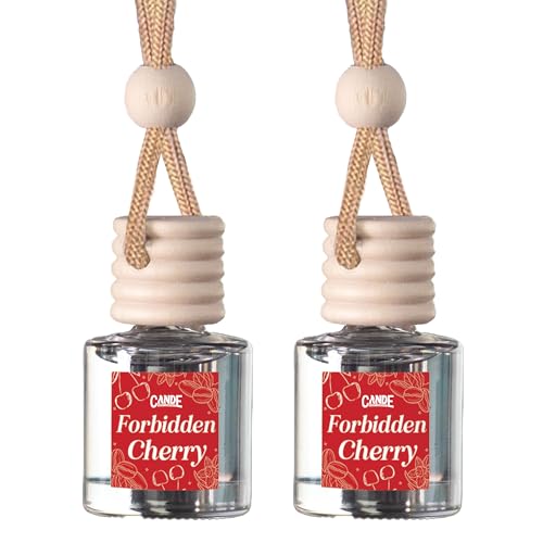 CANDECraftCo 2 Pack Hanging Car Air Freshener Diffuser for Essential Oils