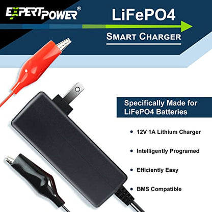 12V 1A Smart Charger for Lithium LiFePO4 Deep Cycle Rechargeable Batteries (1 Amp)