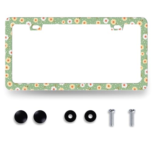 Stainless Steel Cute Daisy Floral License Plate Frame 12.3 x 6.3 Inch (Cute Daisy Floral)