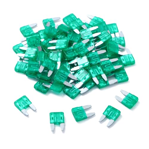 100 Pack Auto Fuses 30 AMP APM (30 AMP)