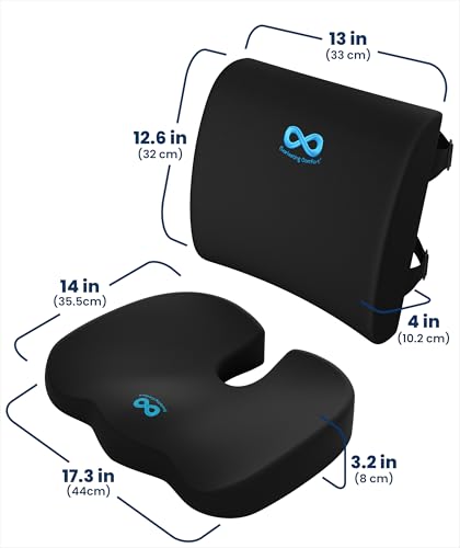 Doctor Recommended Memory Foam Seat Cushion for Office Chairs & Car (Black Airflow Lumbar / Large)