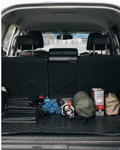 Cargo Organizer (Highway 17)