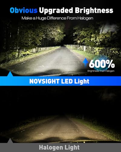H11 9005 Fog Light Bulbs