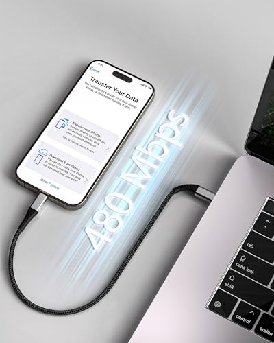 1FT USB C to USB C Cable (1 Feet / USB C to USB C / Black)