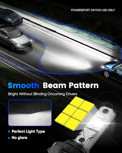 9005 H11 Fog Bulbs (9005+H11)