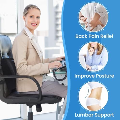 Lumbar Support Pillow for Office Chair Back Support Lumbar Pillow for Car (Black)