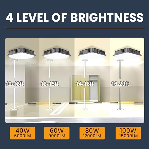 LED Canopy Light 100W