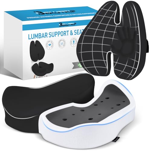 Seat Cushion & Lumbar Support Pillow for Office Chair (Tq27_ls46-black)
