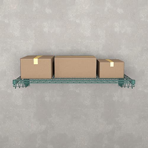 24" x 48" Green Epoxy Wire Wall Mount Shelf (Green / 24" x 48")
