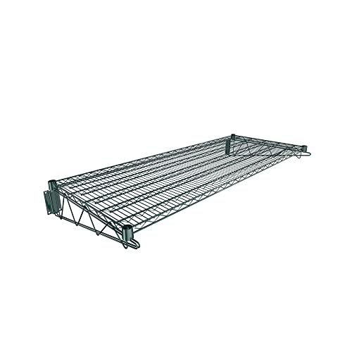 24" x 60" Green Epoxy Wire Wall Mount Shelf (Green / 24" x 60")