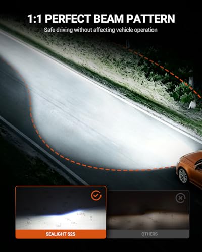 S2S H11 Light Bulbs (S2S H11)