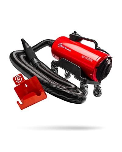 Air Cannon Sr (Air Cannon + Wall Mount)