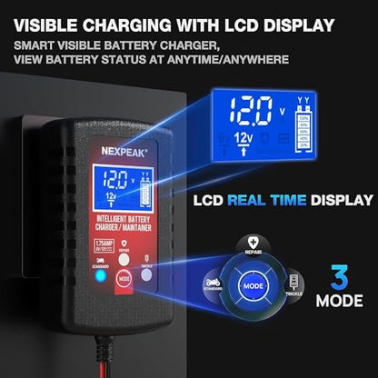 3 Pack 1.75A Car Battery Charger