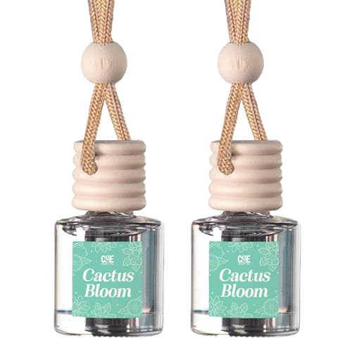 CANDECraftCo 2 Pack Hanging Car Air Freshener Diffuser for Essential Oils