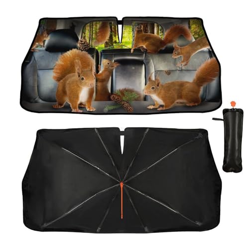 Squirrel Car Windshield Sunshade Umbrella Cute Sun Shade Umbrella for Car Foldable Windshield Umbrella Block UV Rays Heat Keep Vehicle Cool for Cars SUV 57"x30" (Squirrel)