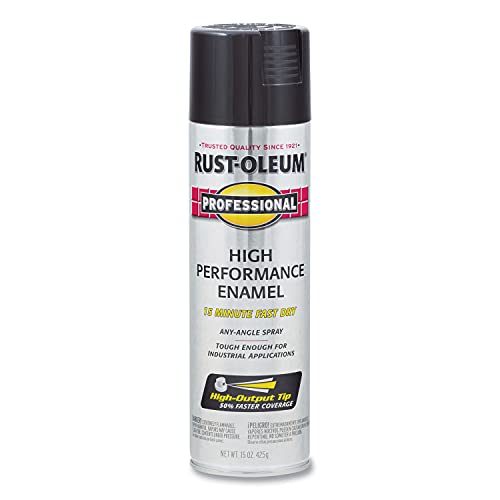 Professional High Performance Gloss Black Spray Paint (Gloss Black / 15 Ounce (Pack of 1))