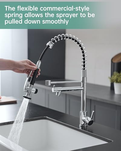 Chrome Kitchen Faucet with Sprayer (Chrome)