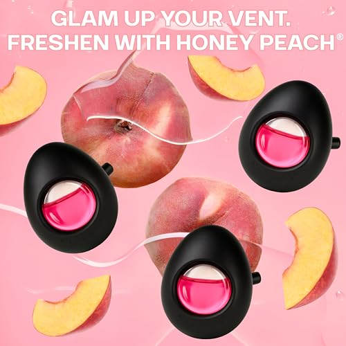 Car Air Freshener Vent Clip 4 Ct (4 Count (Pack of 1))