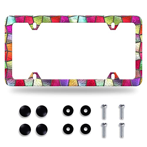 Pretty Glass License Plate Frame Stainless Steel Accessory 12.3x6.3 Inch (Pretty Cut Glass)