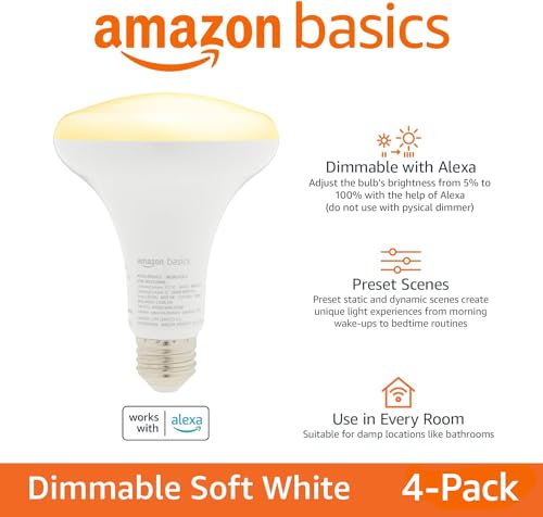 Smart BR30 LED Light Bulbs for Bedroom Living Room (4 Pack)